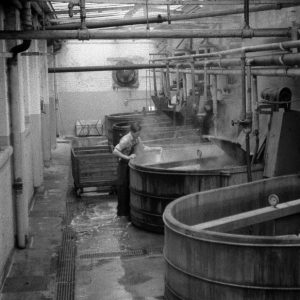 Paddles in the Columbia dye shop, 1960 Photo: John Morland