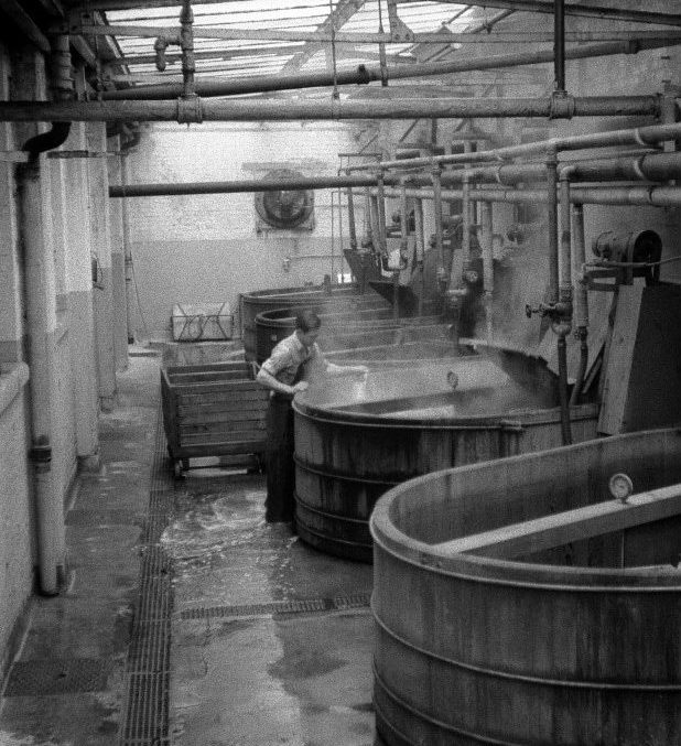 Paddles in the Columbia dye shop, 1960 Photo: John Morland