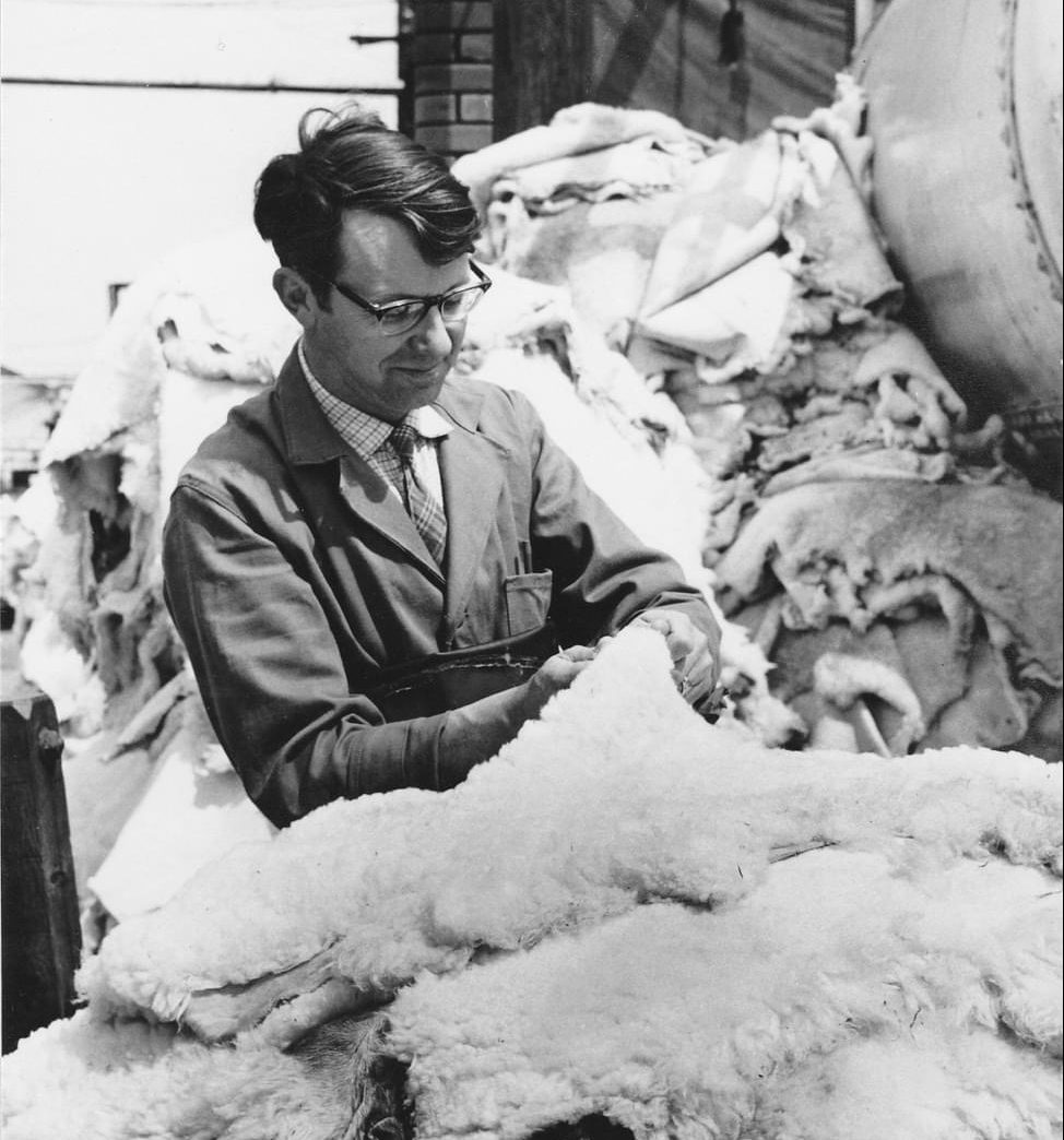 Tony Laver sorting skins at Morlands - according to their quality they would be used for different products Photo: Jane Laver